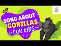 Song About Gorillas | Wildlife Protection| Kiwi kids media For Kids