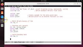 x86-64 Assembly - printf - float