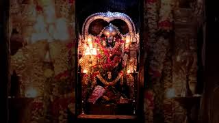 Bugulu venkateshwara swamy || chilpur gutta#trending #viral