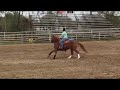 dolly loping right circles 12 13 16