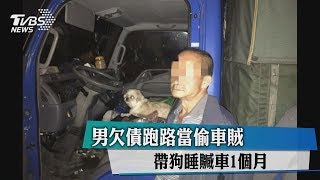 男欠債跑路當偷車賊　帶狗睡贓車1個月