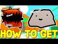 HOW TO GET GIANT & MEGA & HUGE PETS in DOODLE PETS! ROBLOX