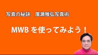 写真の秘訣 マニュアルホワイトバランスを使ってみよう