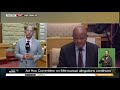 Ad Hoc Committee | Hearings on  Mkhwanazi's allegations continue
