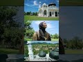 Masjid ini selamat dari Tsunami Aceh tahun 2004 #shorts