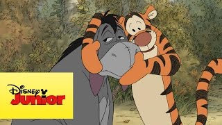 As Pequenas Aventuras de Winnie the Pooh - Tigrão e Ió