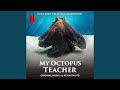 My Octopus Teacher Opening Titles