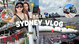 悉尼VLOG 🇦🇺//  6天5夜 ｜Circular Quay 🛥️ , Blue Mountain ⛰️ , Sydney Zoo 🐨  | 霉霉Eras Tour 演唱会 |  [Stacy]