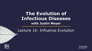The Evolution of Infectious Diseases with Justin Meyer: Lecture 16 - Influenza Evolution