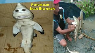 Penemuan Ikan Hiu Aneh Mirip Wajah Manusia