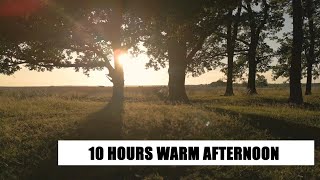 WARM AFTERNOON - 10 HOURS