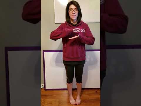 Cc Cycle 1 Week 14 Science Youtube