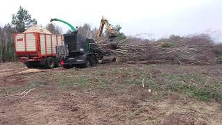 Holzhacken im Gildehauser Venn