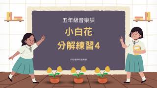 小白花分解練習【第四關】