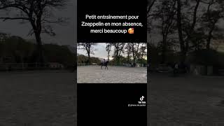 Saut d'obstacle Zzeppelin 11/24