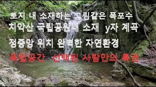 횡성부동산 토지내 그림같은 폭포수 단독소유 치악산 국립공원내 소재 해발400고지 최상의 자연환경  국내 단 하나뿐이 토지 토지 좌우측 계곡 합수머리 y자계곡 정중앙 위치