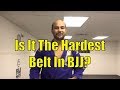 Purple Belt  - The Hardest Belt In BJJ