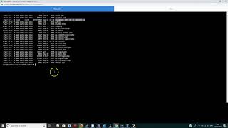 Export WordPress MySQL Database using WP CLI wp db export command