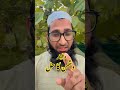 dushman ka wazifa wazifa for dushman islam wazifa dushman shortsfeed