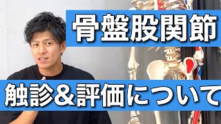 【今日から活用できる！】骨盤・股関節の評価方法と触診