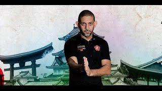 Video - Ving Tsun (Wing Chun) - Senior Master Nataniel Rosa