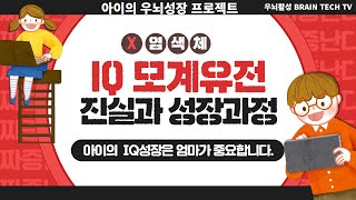 [브레인테크]X염색체 모계유전과 지능과의 관련입니다.(추가정보입니다)