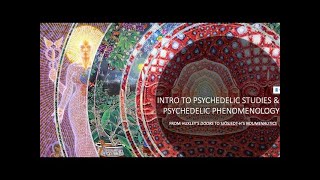 Introduction to Psychedelic Studies and Psychedelic Phenomenology