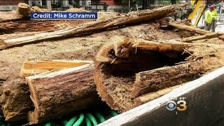 Crews Excavate Wood Water Mains In Philadelphia