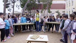 Reptes a l'escola - Partida de Tetris