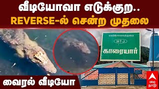 Crocodile viral Video | வீடியோவா எடுக்குற..Reverse-ல் சென்ற முதலை.. வைரல் வீடியோ | Karaiyar Dam