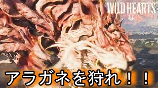 【#１５】アラガネを狩る！！！【WILD HEARTS・ワイルドハーツ】