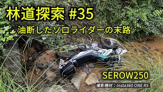 林道探索 #35  セロー２５０　油断したソロライダーの末路