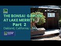 AMAZING BONSAI GARDENS # Bonsai Garden at Lake Merritt Part 2, Oakland, California, USA.