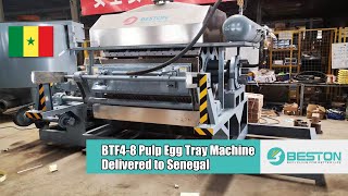 Fully Automatic Paper Egg Tray Machine to Senegal | 3500-4500 pieces/h
