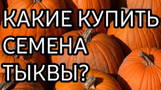 СЕМЕНА ТЫКВЫ / КАКИЕ КУПИТЬ СЕМЕНА ТЫКВЫ?