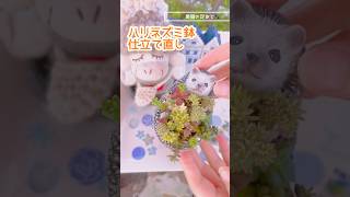 #多肉植物寄せ植えの仕立て直し#多肉植物寄せ植えのメンテナンス