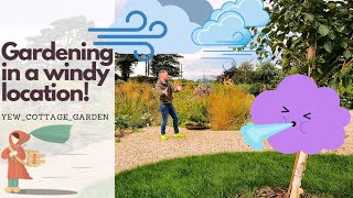 How to garden effortlessly with a windy location! My top plants for wind included!