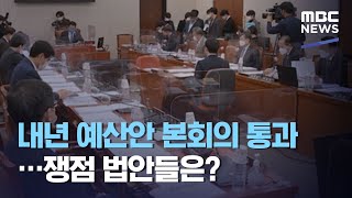 내년 예산안 본회의 통과…쟁점 법안들은? (2020.12.03/뉴스투데이/MBC)