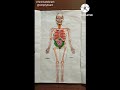 BODY SYSTEM IN EASY WAY #MEDICAL KNOWLEDGE BY HITESH#SHORTS