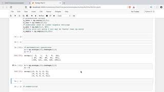 NumPy and NumPy Arrays for Beginners, Part II Python Tutorial