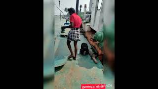 FISH BBQ கப்பலில்  மீன் பிடித்து  கரையில்  சமைத்த காட்சி