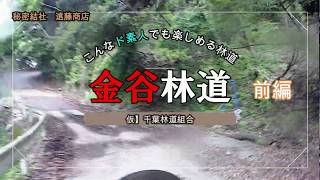 【せな散歩】関東圏内では有名な『金谷林道』ド素人のこんなオジさんでも充分楽しめる林道最後にやらかしました！『前編』