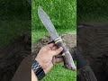 Amazing Damascus Hunting Knife|Stag Handle#ytshorts #shortvideo #youtubeshorts #youtube #shortsfeed