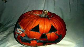 Pumpkins Melting