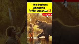 The Elephant Whisperes ने जीता Oscar 🇮🇳❣️। Elephant Whisperes Movie Review । #trending #factaround