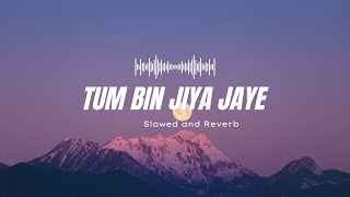 Tum Bin Jiya Jaye - Slowed and Reverb | Sanam Re | Shreya Ghoshal | Bhushan Kumar's | s2 lofi