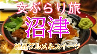 【女ぶらり旅】沼津食べ歩き/沼津港/海鮮/スイーツ【漁港グルメ】