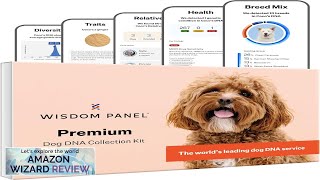 Wisdom Panel Premium Dog DNA Kit: Most Comprehensive with 265+ Health Tests, Review