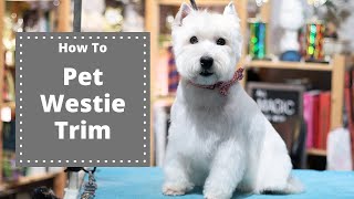 Westie Pet Trim | with Master Groomer