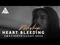 Heart Bleeding Mashup | Emotionchillout Mashup Song 2024 | Technical Sohel | Viral Mashup Song 2024